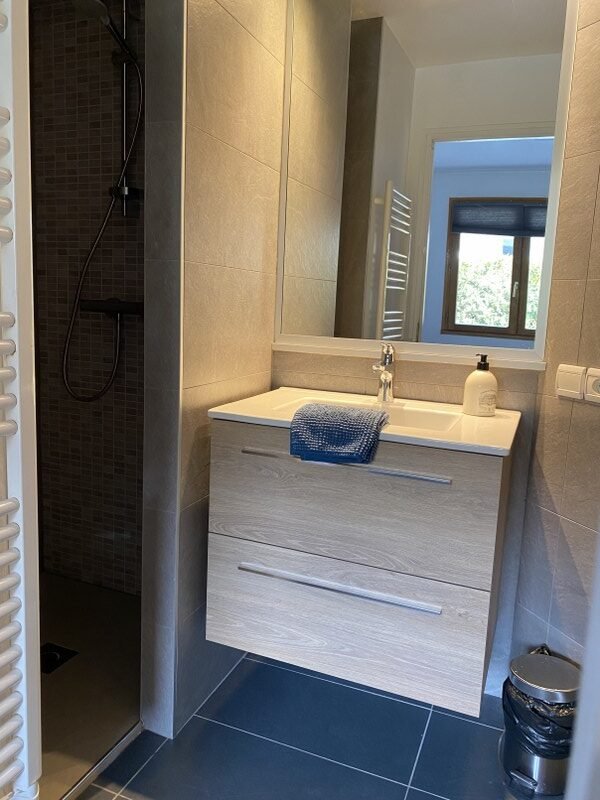 Moderne badkamer met wastafel en douche in Chalet Carpe Diem.